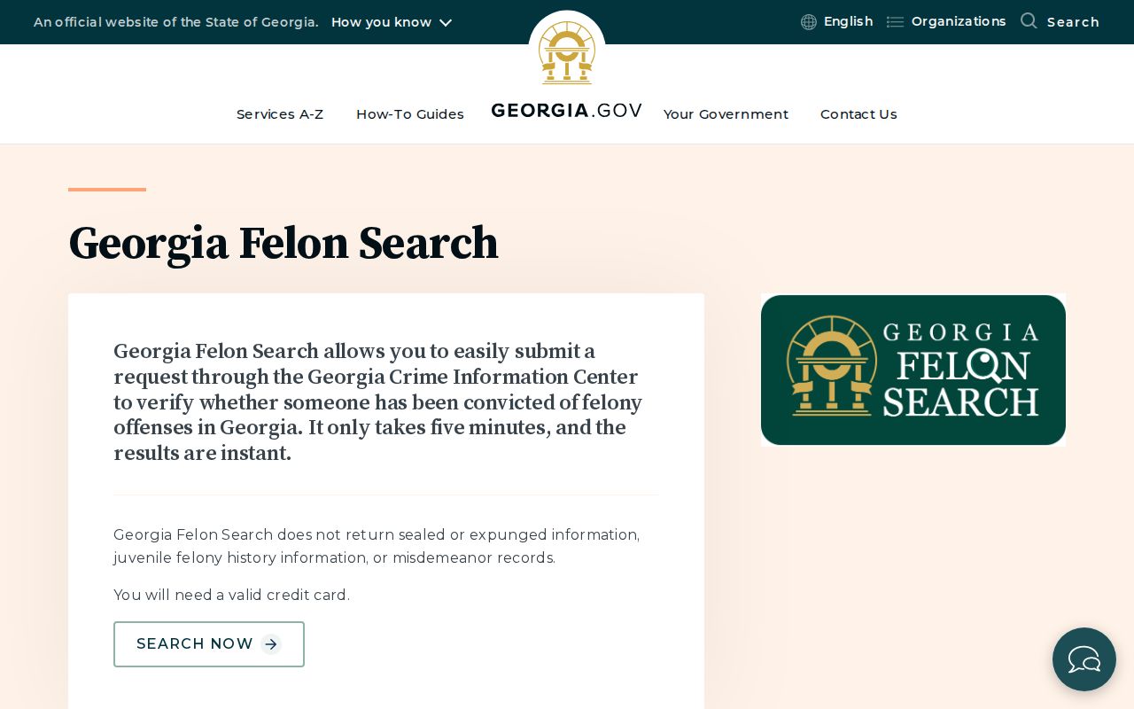 Georgia Felon Search official query screen
